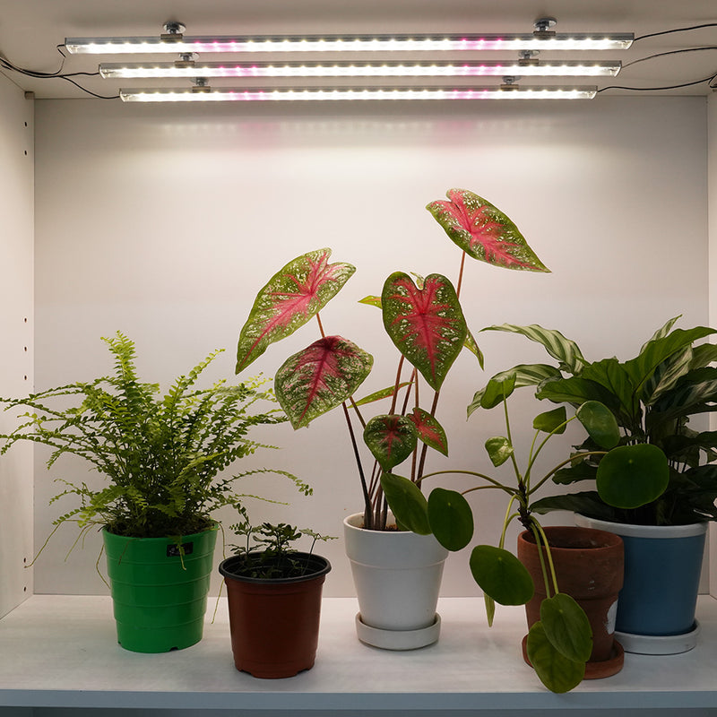 ICLE 植物育成LEDバー フルスペクトル Samsung LEDチップ搭載 観葉植物 室内栽培 水耕栽培 家庭菜園 棚下 簡単取り付け 省エネ 韓国製